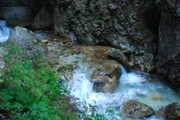 Clicca qui per vedere l'immagine in dettaglio